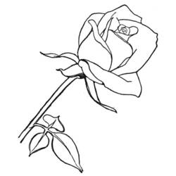 Dessin à colorier: Roses (Nature) #161906 - Coloriages à Imprimer Gratuits