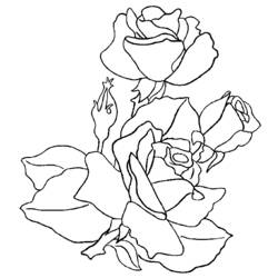 Dessin à colorier: Roses (Nature) #161908 - Coloriages à Imprimer Gratuits