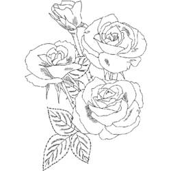 Dessin à colorier: Roses (Nature) #161910 - Coloriages à Imprimer Gratuits