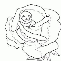 Dessin à colorier: Roses (Nature) #161912 - Coloriages à Imprimer Gratuits