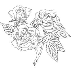 Dessin à colorier: Roses (Nature) #161913 - Coloriages à Imprimer Gratuits