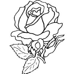 Dessin à colorier: Roses (Nature) #161922 - Coloriages à Imprimer Gratuits