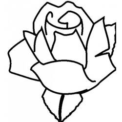 Dessin à colorier: Roses (Nature) #161927 - Coloriages à Imprimer Gratuits