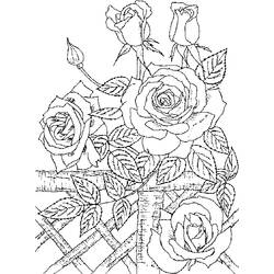 Dessin à colorier: Roses (Nature) #161944 - Coloriages à Imprimer Gratuits