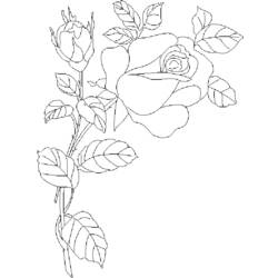 Dessin à colorier: Roses (Nature) #161949 - Coloriages à Imprimer Gratuits