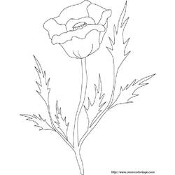 Dessin à colorier: Roses (Nature) #161975 - Coloriages à Imprimer Gratuits