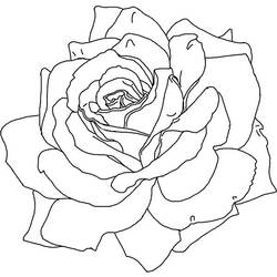 Dessin à colorier: Roses (Nature) #161983 - Coloriages à Imprimer Gratuits