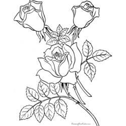 Dessin à colorier: Roses (Nature) #161984 - Coloriages à imprimer