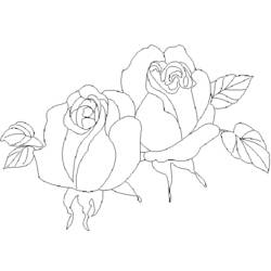 Dessin à colorier: Roses (Nature) #161988 - Coloriages à Imprimer Gratuits