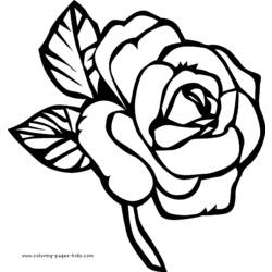 Dessin à colorier: Roses (Nature) #162017 - Coloriages à imprimer