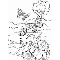 Dessin à colorier: Saison Printemps (Nature) #164753 - Coloriages à imprimer