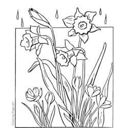Dessin à colorier: Saison Printemps (Nature) #164876 - Coloriages à Imprimer Gratuits