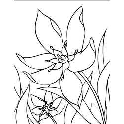 Dessin à colorier: Saison Printemps (Nature) #165014 - Coloriages à Imprimer Gratuits