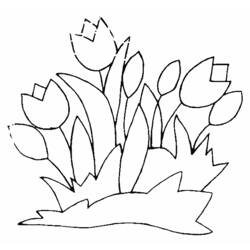 Dessin à colorier: Tulipe (Nature) #161624 - Coloriages à Imprimer Gratuits