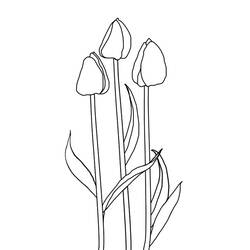 Dessin à colorier: Tulipe (Nature) #161667 - Coloriages à Imprimer Gratuits
