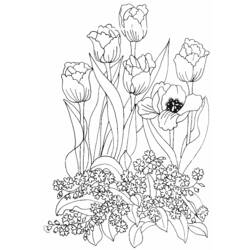 Dessin à colorier: Tulipe (Nature) #161669 - Coloriages à Imprimer Gratuits