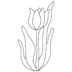 Dessin à colorier: Tulipe (Nature) #161677 - Coloriages à Imprimer Gratuits