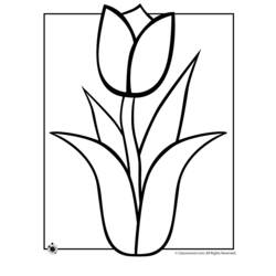Dessin à colorier: Tulipe (Nature) #161699 - Coloriages à Imprimer Gratuits