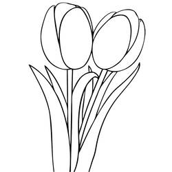Dessin à colorier: Tulipe (Nature) #161700 - Coloriages à Imprimer Gratuits