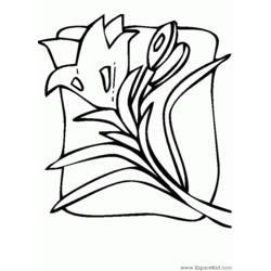 Dessin à colorier: Tulipe (Nature) #161703 - Coloriages à Imprimer Gratuits