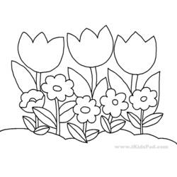 Dessin à colorier: Tulipe (Nature) #161758 - Coloriages à Imprimer Gratuits
