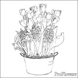 Dessin à colorier: Tulipe (Nature) #161792 - Coloriages à Imprimer Gratuits