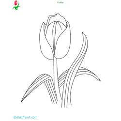 Dessin à colorier: Tulipe (Nature) #161797 - Coloriages à Imprimer Gratuits