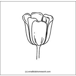 Dessin à colorier: Tulipe (Nature) #161803 - Coloriages à Imprimer Gratuits