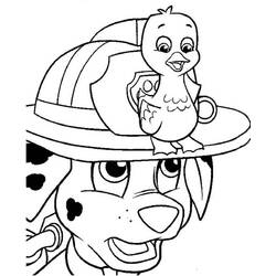 Dessin à colorier: Marcus Pat Patrouille (Personnages de dessins animés) #181678 - Coloriages à Imprimer Gratuits