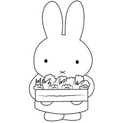 Dessin à colorier: Miffy (Personnages de dessins animés) #202760 - Coloriages à Imprimer Gratuits