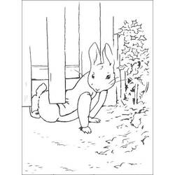 Dessin à colorier: Pierre Lapin (Personnages de dessins animés) #188223 - Coloriages à Imprimer Gratuits