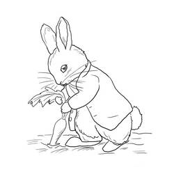 Dessin à colorier: Pierre Lapin (Personnages de dessins animés) #188233 - Coloriages à Imprimer Gratuits