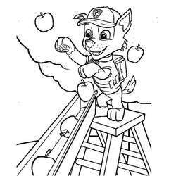Dessin à colorier: Rocky Pat Patrouille (Personnages de dessins animés) #181729 - Coloriages à Imprimer Gratuits