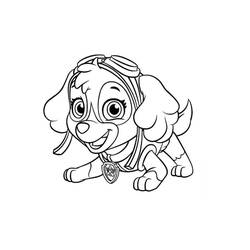 Dessin à colorier: Stella Pat Patrouille (Personnages de dessins animés) #181703 - Coloriages à Imprimer Gratuits