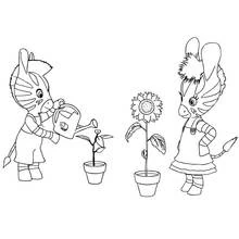 Dessins à colorier: Zou - Coloriages à Imprimer Gratuits
