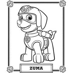 Dessin à colorier: Zuma Pat Patrouille (Personnages de dessins animés) #181691 - Coloriages à Imprimer Gratuits