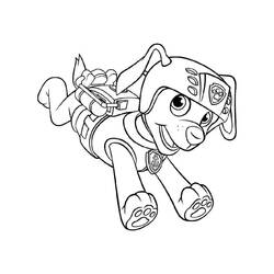 Dessin à colorier: Zuma Pat Patrouille (Personnages de dessins animés) #181695 - Coloriages à Imprimer Gratuits