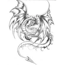 Dessin à colorier: Dragon (Personnages fantastiques et d'aventure) #148555 - Coloriages à Imprimer Gratuits