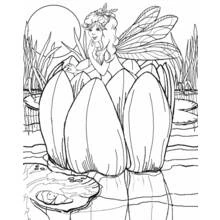Dessin à colorier: Fée (Personnages fantastiques et d'aventure) #95788 - Coloriages à Imprimer Gratuits