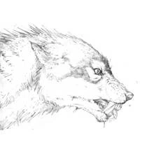 Dessin à colorier: Loup garou (Personnages fantastiques et d'aventure) #100026 - Coloriages à Imprimer Gratuits