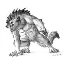 Dessin à colorier: Loup garou (Personnages fantastiques et d'aventure) #100075 - Coloriages à Imprimer Gratuits