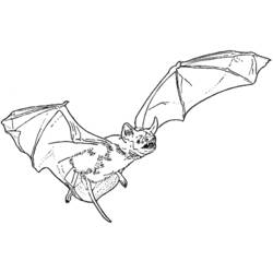 Dessin à colorier: Vampire (Personnages fantastiques et d'aventure) #85965 - Coloriages à Imprimer Gratuits