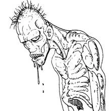 Dessin à colorier: Zombie (Personnages fantastiques et d'aventure) #85570 - Coloriages à Imprimer Gratuits