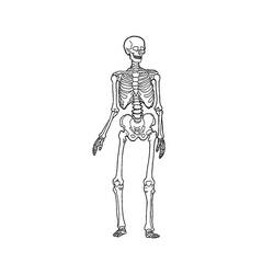 Coloriage Squelette (Personnages) #197340 à imprimer et colorier