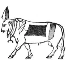 Dessin à colorier: Mythologie Égyptienne (Religion et Mythologie) #111497 - Coloriages à Imprimer Gratuits