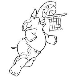 Dessin à colorier: Basketball (Sports) #177145 - Coloriages à Imprimer Gratuits