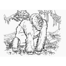 Dessins à colorier: King Kong - Coloriages à Imprimer Gratuits