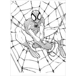 Coloriage Spiderman (Super-héros et Super-vilains) #176675 à imprimer et colorier