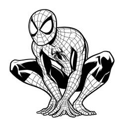 Coloriage Spiderman (Super-héros et Super-vilains) #212200 à imprimer et colorier