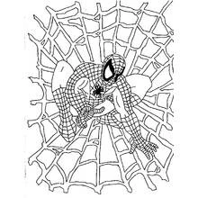 Dessin à colorier: Spiderman (Super-héros et Super-vilains) #78641 - Coloriages à Imprimer Gratuits